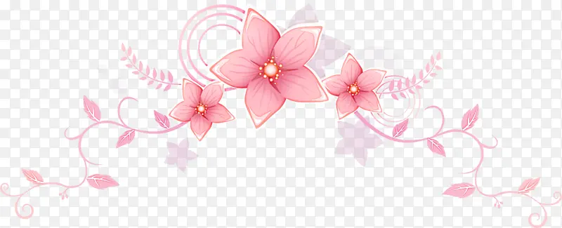 花边 花背景 粉色