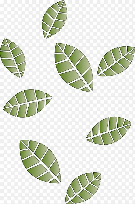 叶子 植物 花