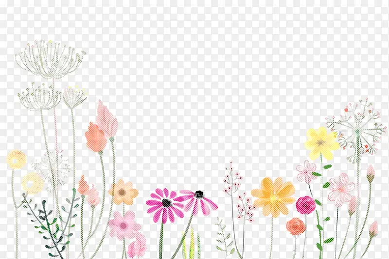 春花 花朵 粉色