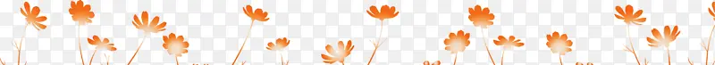 春花边框 花线 橙色