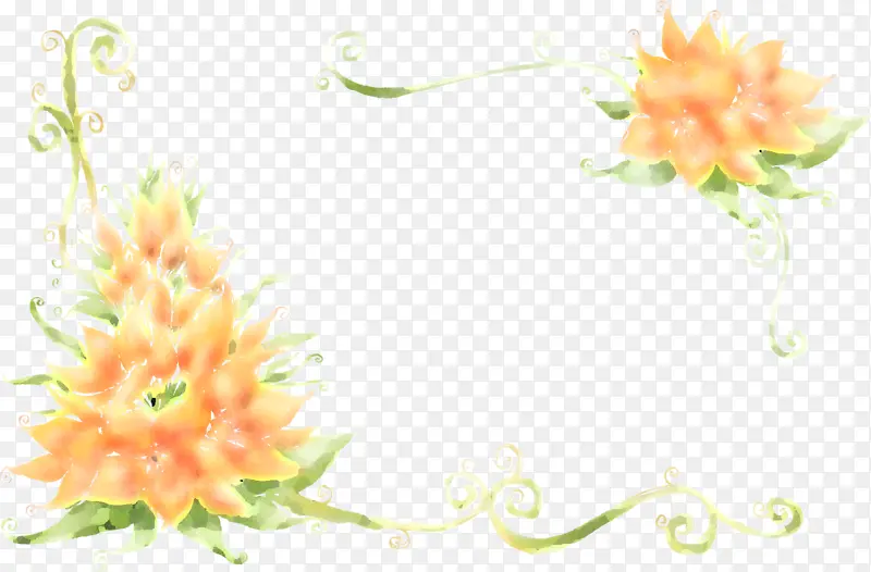 花卉矩形框 花卉 植物