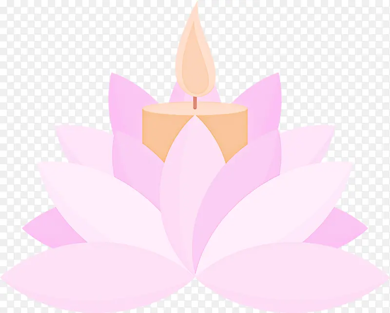 菩提莲 莲花 蜡烛