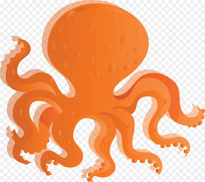 章鱼 巨大的太平洋章鱼 橙色