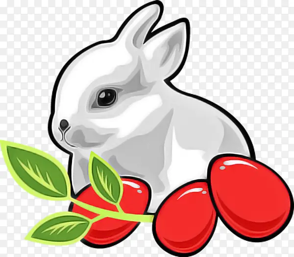 兔子 兔子和野兔 口鼻