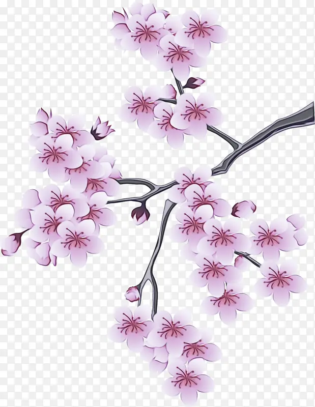 水彩画 颜料 湿墨