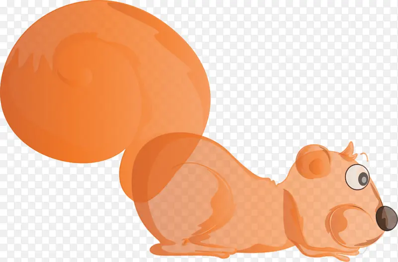 松鼠 橙色 耳朵