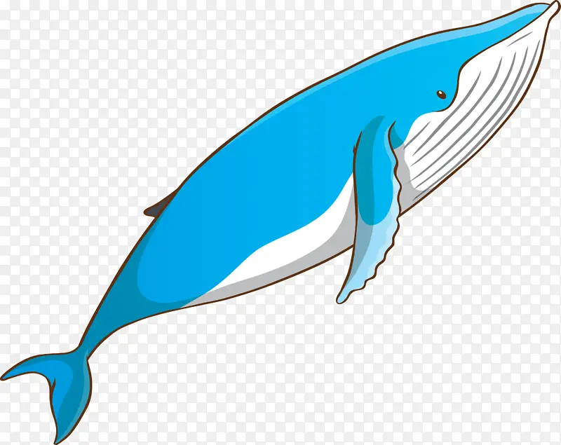水彩鲸 鳍 鱼