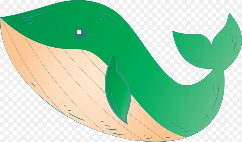 水彩画鲸鱼 绿色