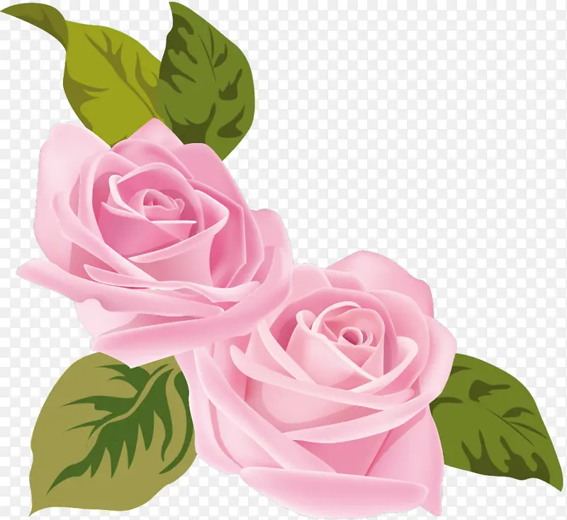 两朵花 两朵玫瑰 情人节