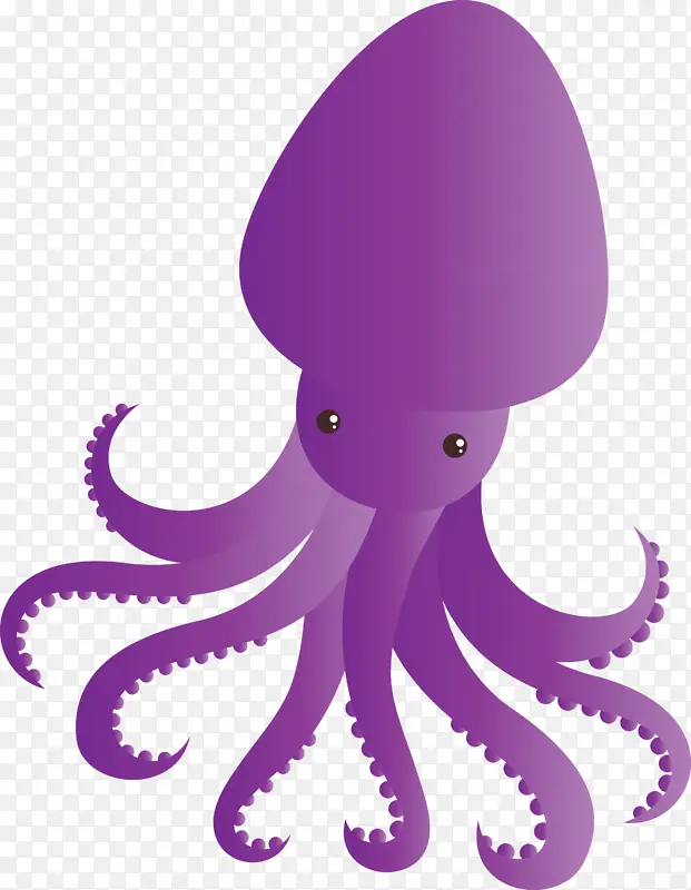 章鱼 巨型太平洋章鱼 紫色