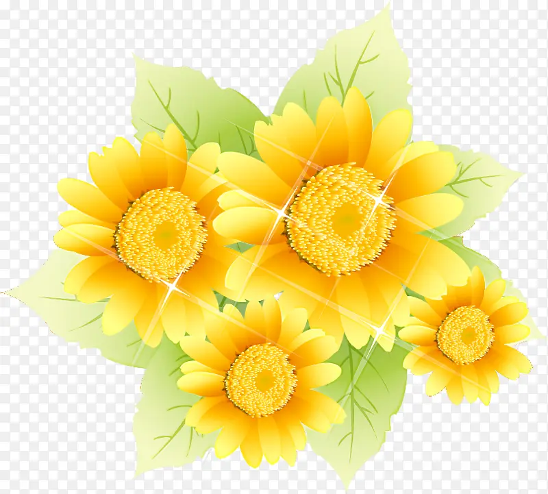 向日葵 花 黄色