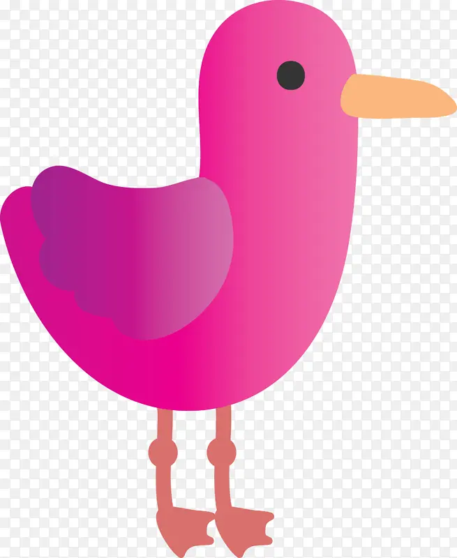 粉红色 鸟 水鸟