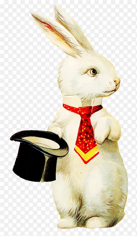 兔子 兔子和兔子 复活节兔子