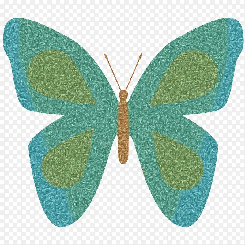 蝴蝶 昆虫 绿松石