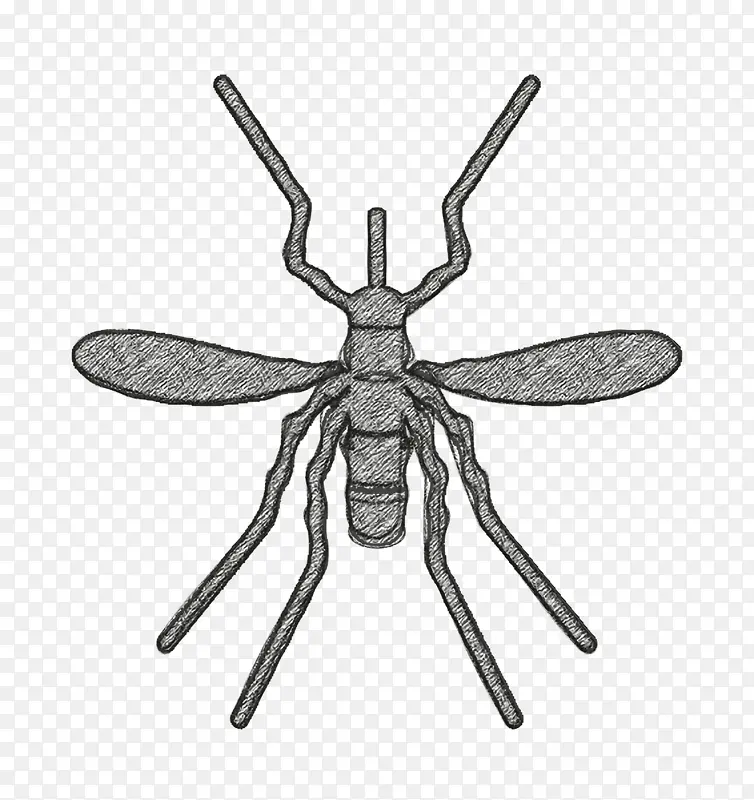 蚊子图标 昆虫图标 昆虫
