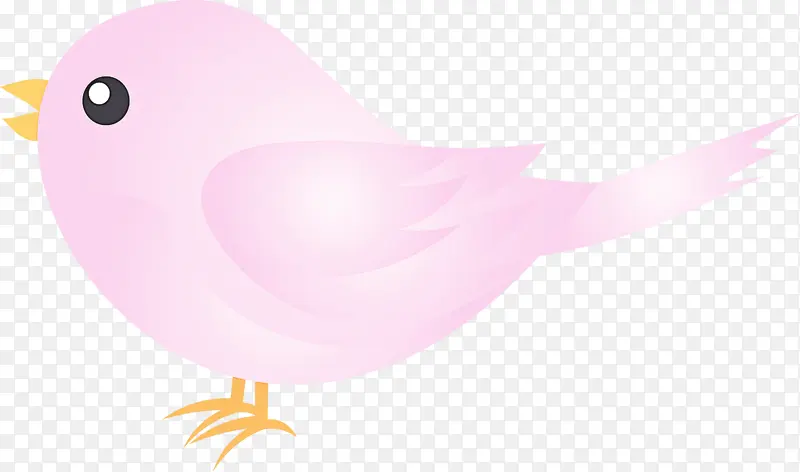 水彩鸟 粉色 鸟