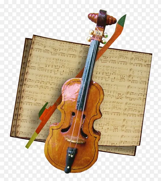 弦乐器 乐器 小提琴家族