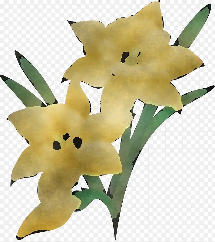花 植物 黄色
