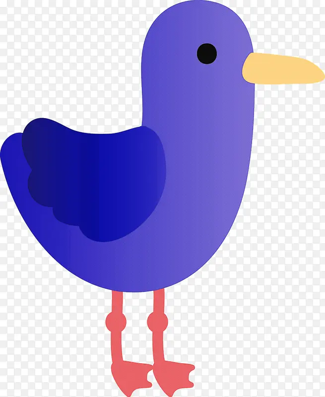 紫色 鸟 喙