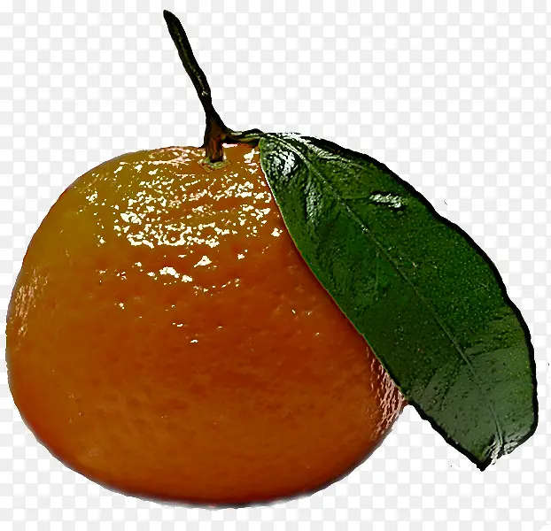 水果 食品 柑橘