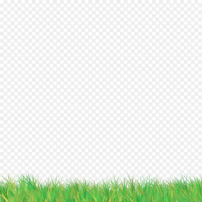 绿色 草 草地