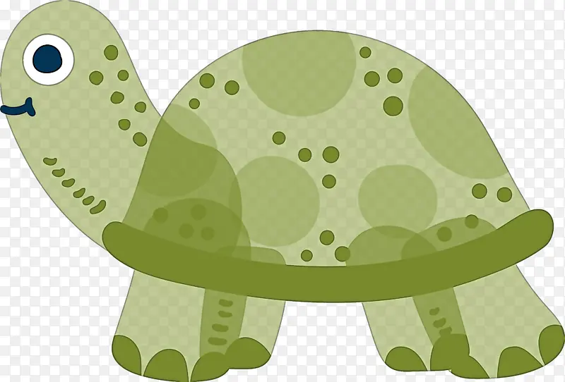 乌龟 绿色 爬行动物