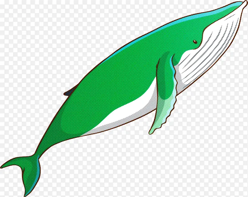 水彩鲸鱼 鳍 宽吻海豚