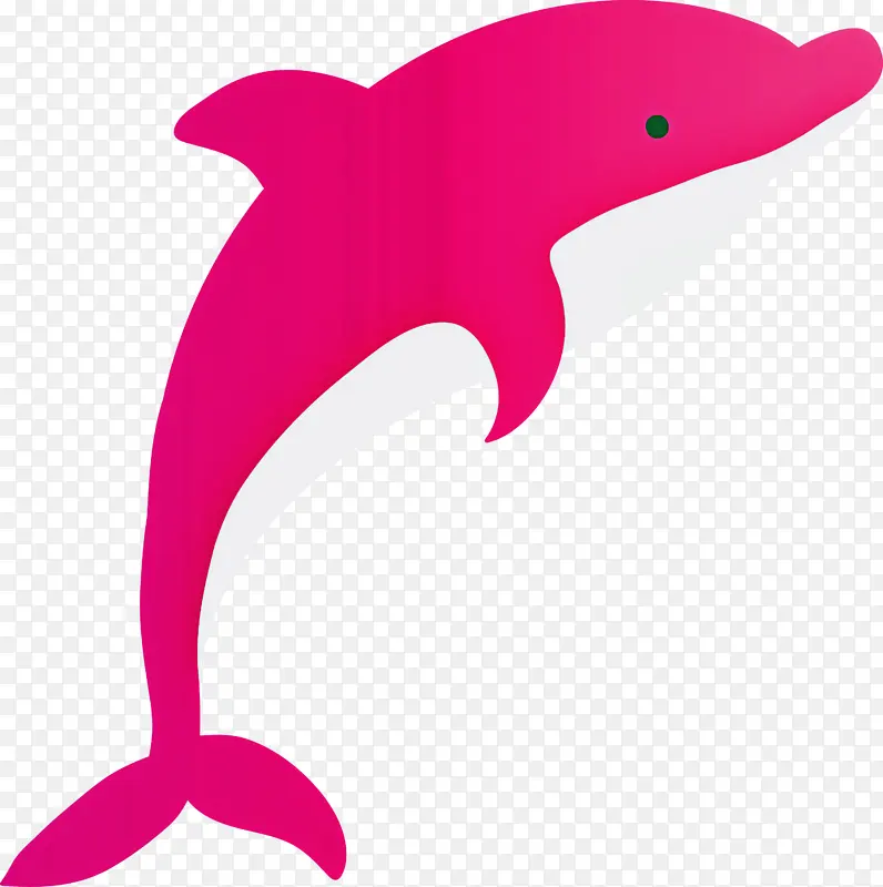 海豚 宽吻海豚 粉红