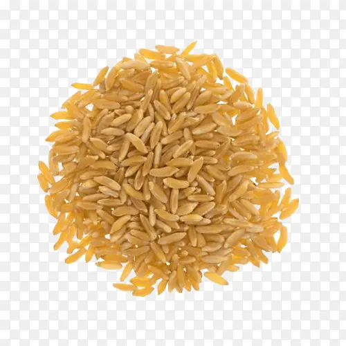 茉莉花大米 食品 糙米