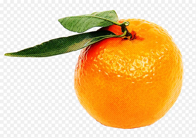 水果 橙子 橘子