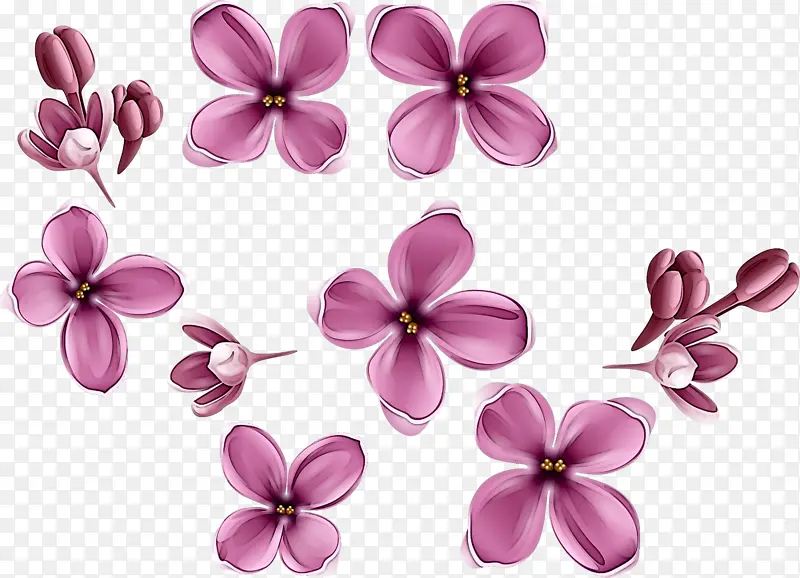 花瓣 粉色 花朵