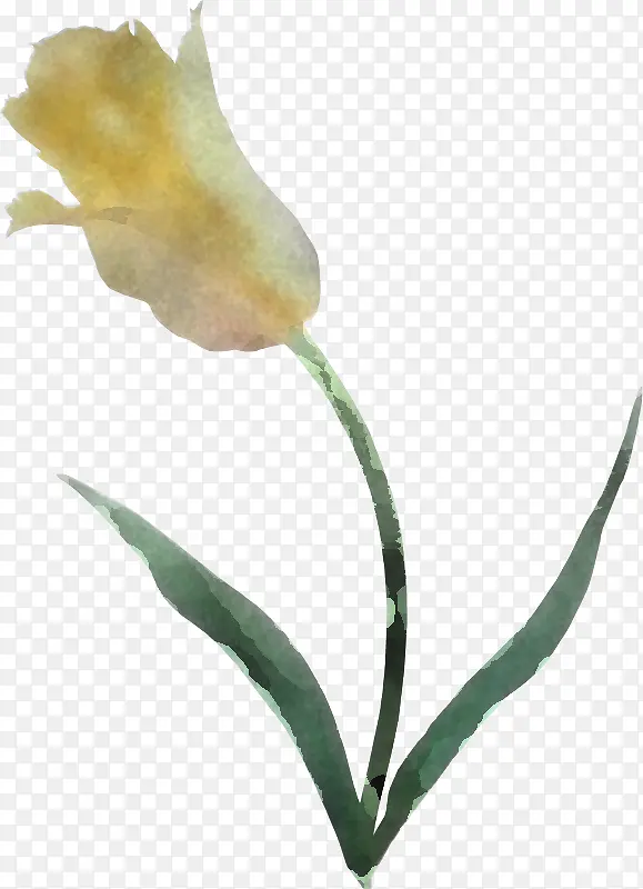 花 植物 花梗PNG图片素材下载_图片编号7024403-PNG素材网