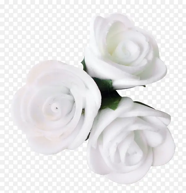 白色 花朵 花瓣