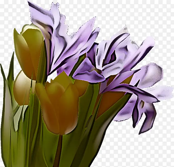 花卉 花瓣 切花