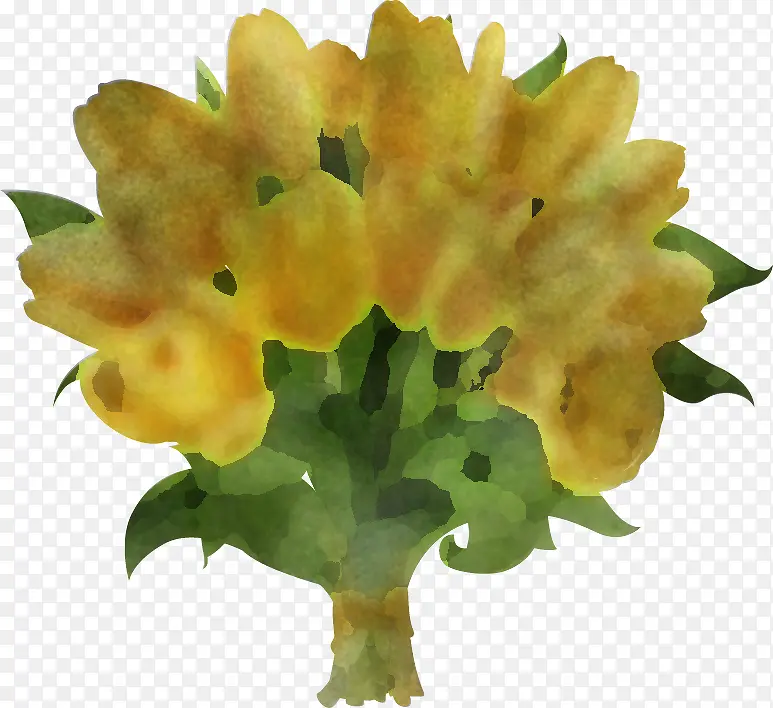 花 黄色 植物