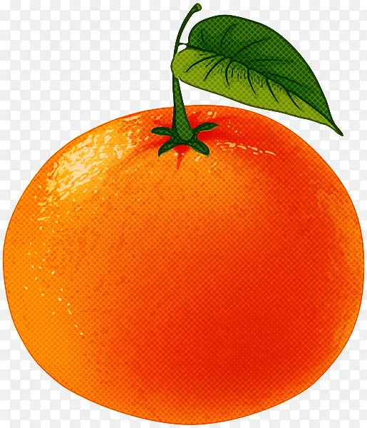 橙子 水果 柑橘