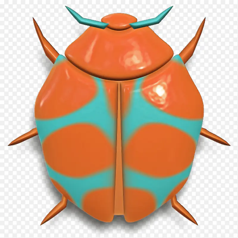 橙色 昆虫 珠宝虫
