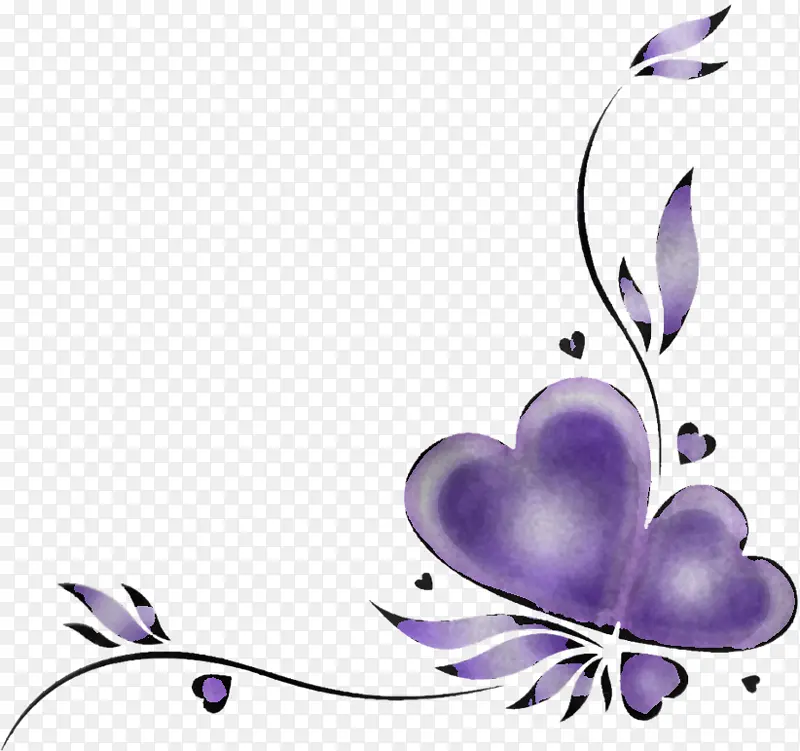 紫罗兰 紫色 丁香