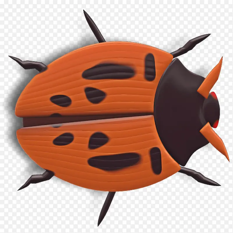橙色 昆虫 甲虫