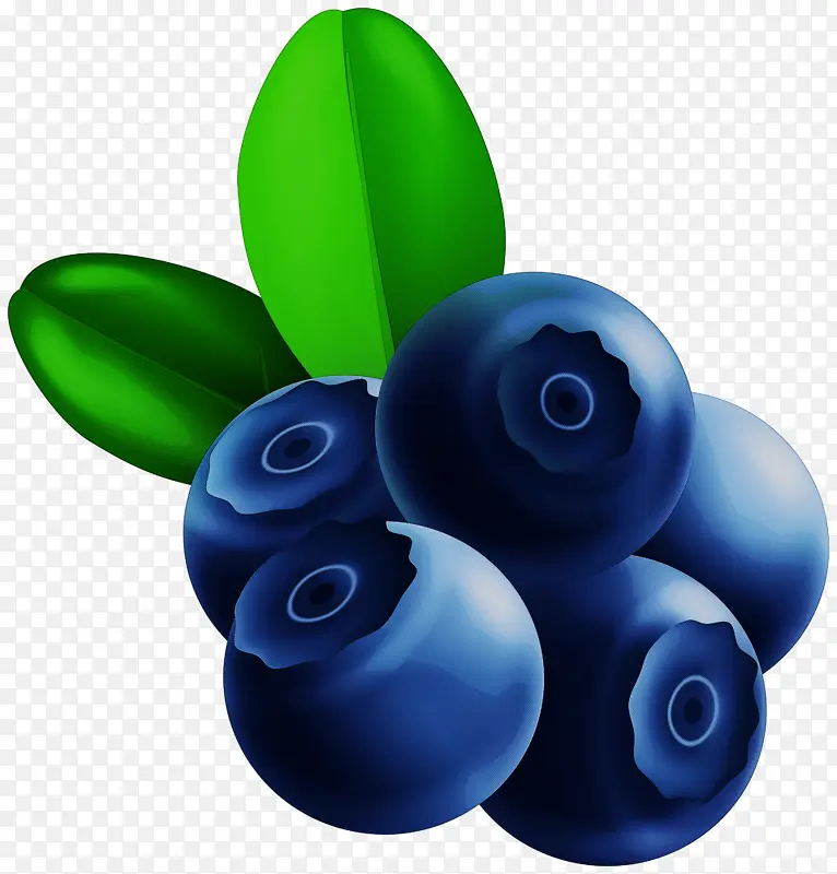 蓝色 浆果 水果