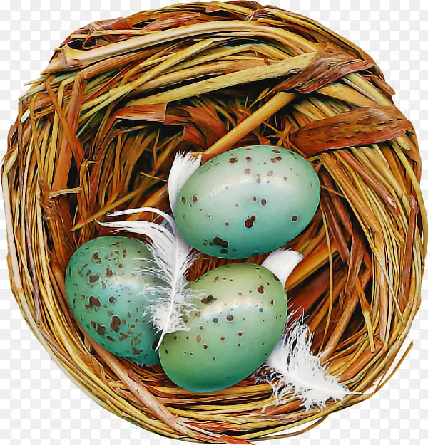 彩蛋 鸟巢 复活节彩蛋