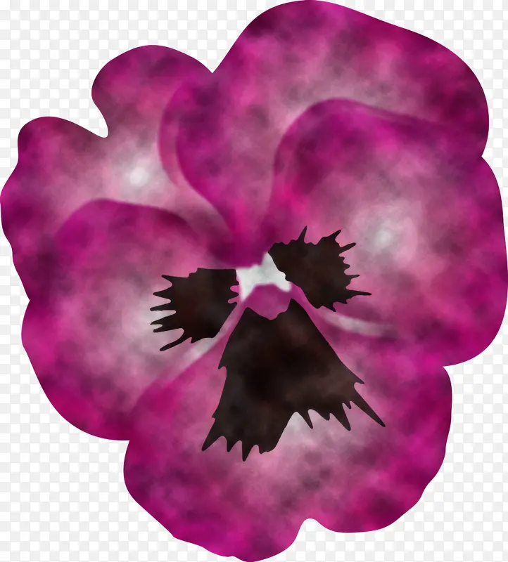 三色堇 春花 紫色