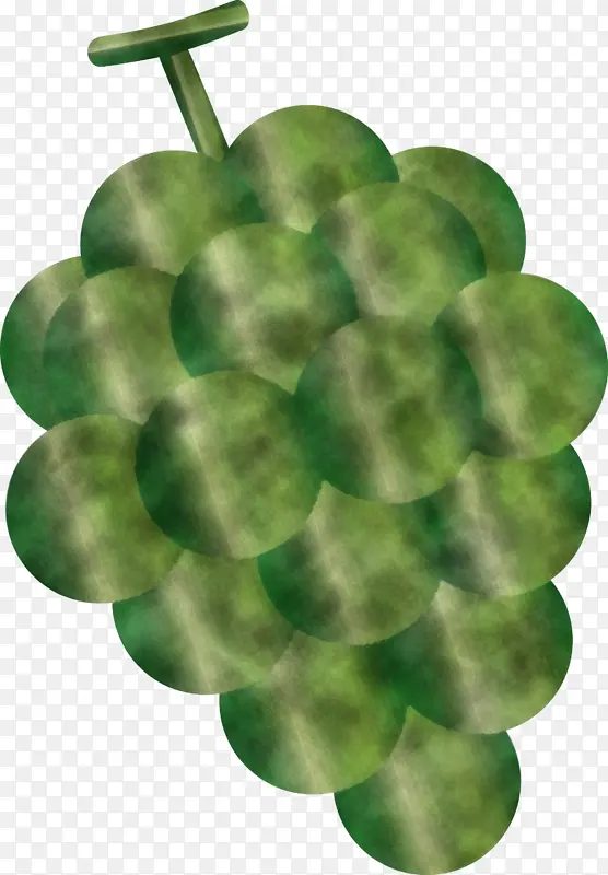 葡萄 水果 绿色