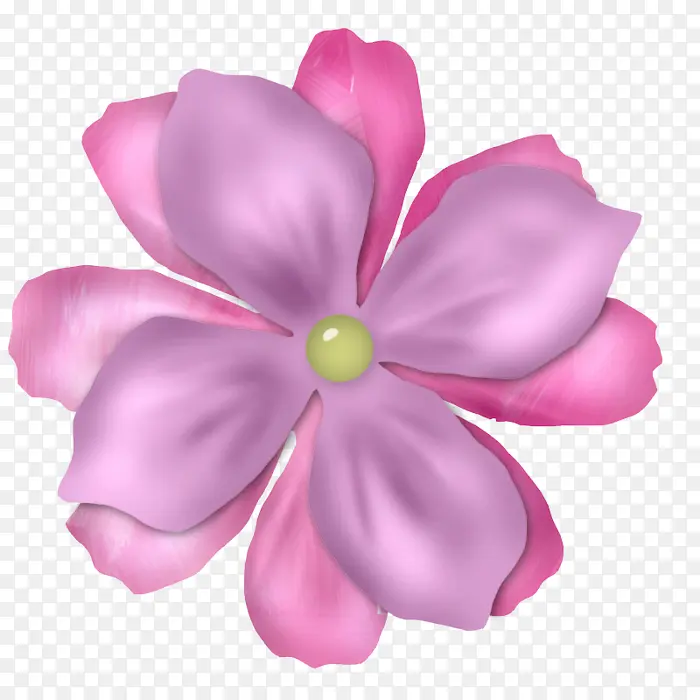 花瓣 粉色 花朵