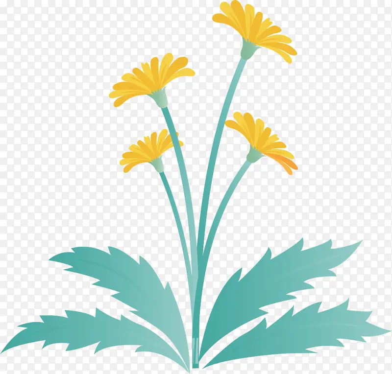 蒲公英花 复活节花 春花
