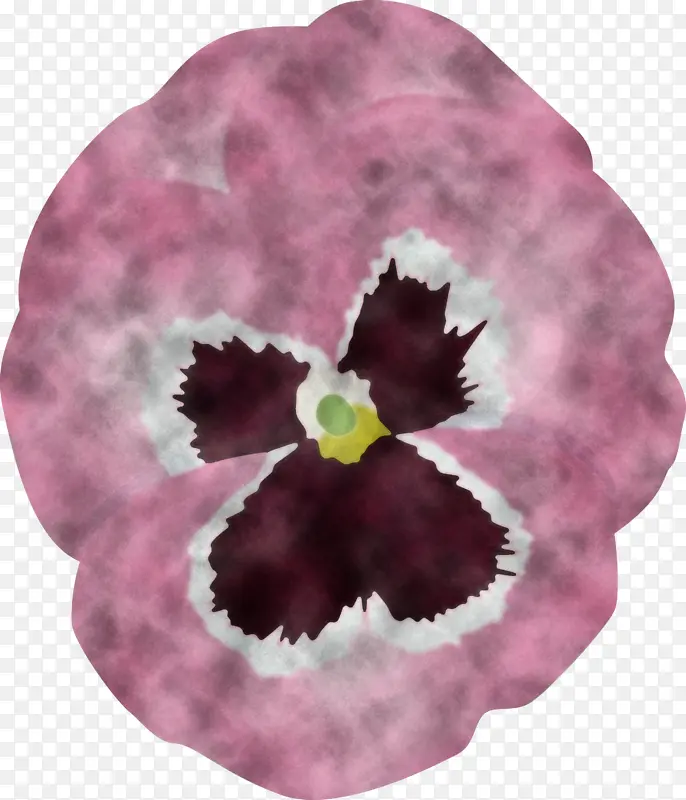 三色堇 春花 紫罗兰