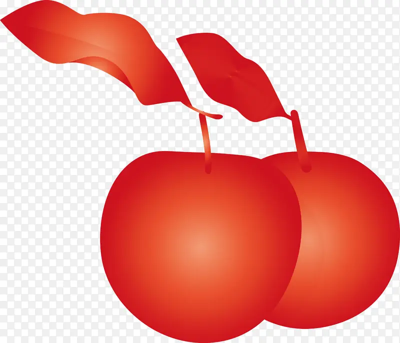 苹果 水果 红色