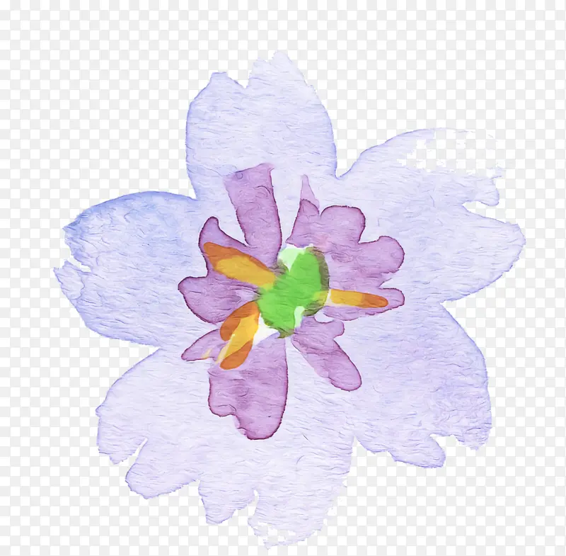 水彩花 花瓣 紫罗兰
