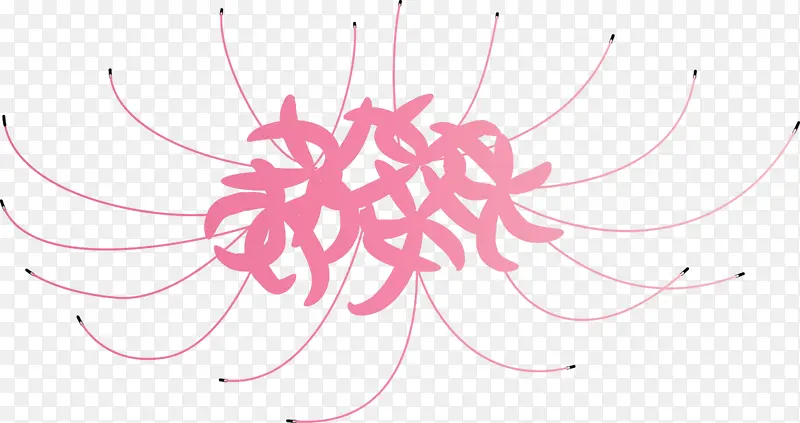 飓风百合花粉色线条植物视觉艺术