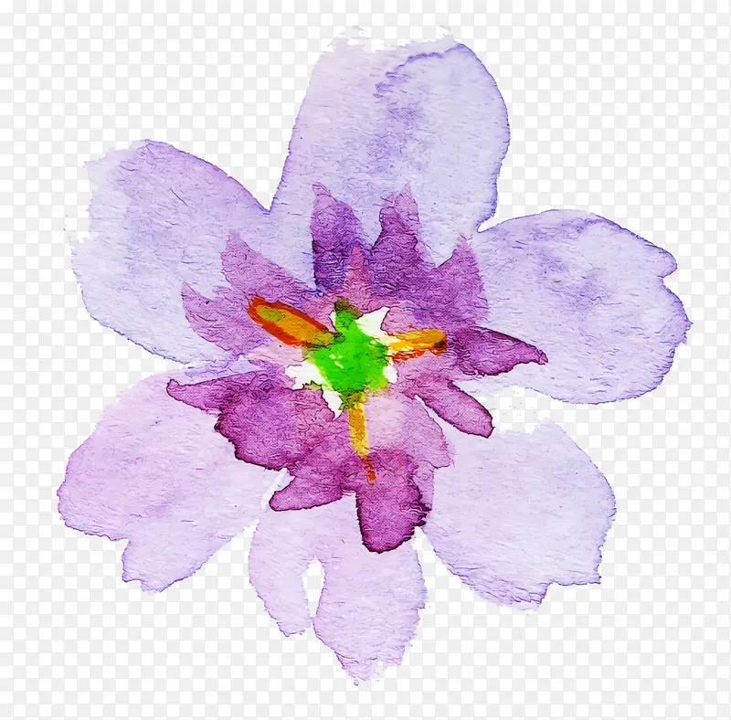 水彩花卉 花卉 紫罗兰